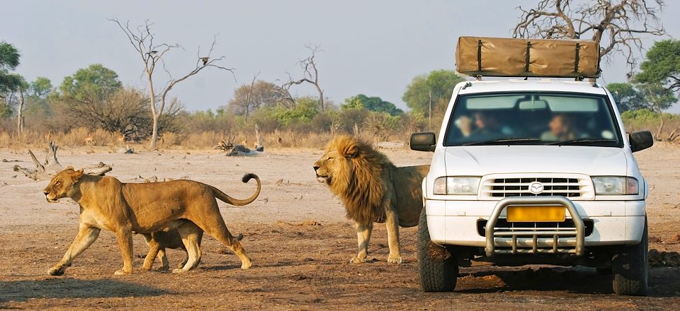 Cette aventure en autotour vous mènera de Chobe à l'Okavango, en passant par les réserves de Moremi, Savuti et la rivière Khwai