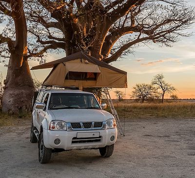 Selfdrive sur la piste des premiers explorateurs, avec un itinéraire complet à travers les parcs nationaux de Chobe et de Hwange.