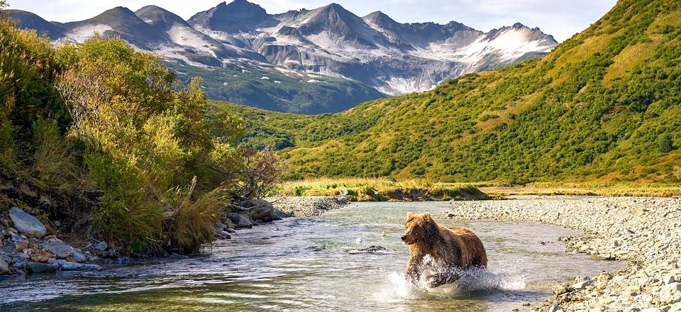 Autotour du Yukon à l'Alaska au parc de Tombstone, Denali, Kenai Fjords, Aialik, les ours de Katmai et la Baie du Prince William