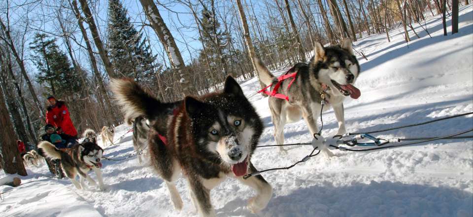 Aventure dans la neige québécoise dans le fjord du Saguenay : raquette, motoneige, traîneau à chien à la Pourvoirie Cap au Leste