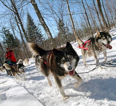 Aventure dans la neige québécoise dans le fjord du Saguenay : raquette, motoneige, traîneau à chien à la Pourvoirie Cap au Leste