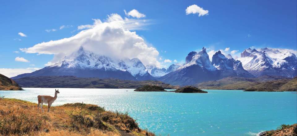 Un Voyage du Désert d’Atacama à la Patagonie. Paysages époustouflants, une faune typique et des rencontres inoubliables! 