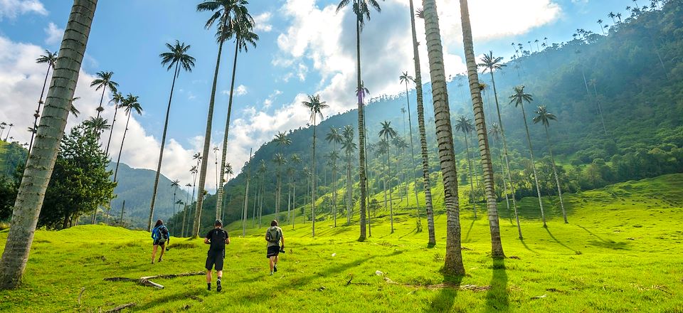 Les essentiels de la Colombie en marchant : de Los Nevados jusqu'à la Vallée de Cocora, Salento, mythique Tayrona et Carthagène