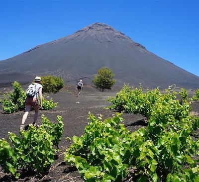Best of des plus belles randonnées au Cap-Vert : Vallées luxuriantes de Santo Antao & Ascension du volcan Fogo