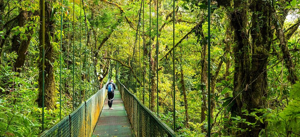 Voyage de Tortuguero à Manuel Antonio via Arenal et Sarapiqui, circuit idéal en juillet/août, favorisant l'observation des animaux