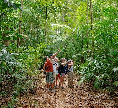 Autotour en famille au Costa Rica: du volcan Arenal au parc du Corcovado via Manuel Antonio entre faune & flore exceptionnelles!