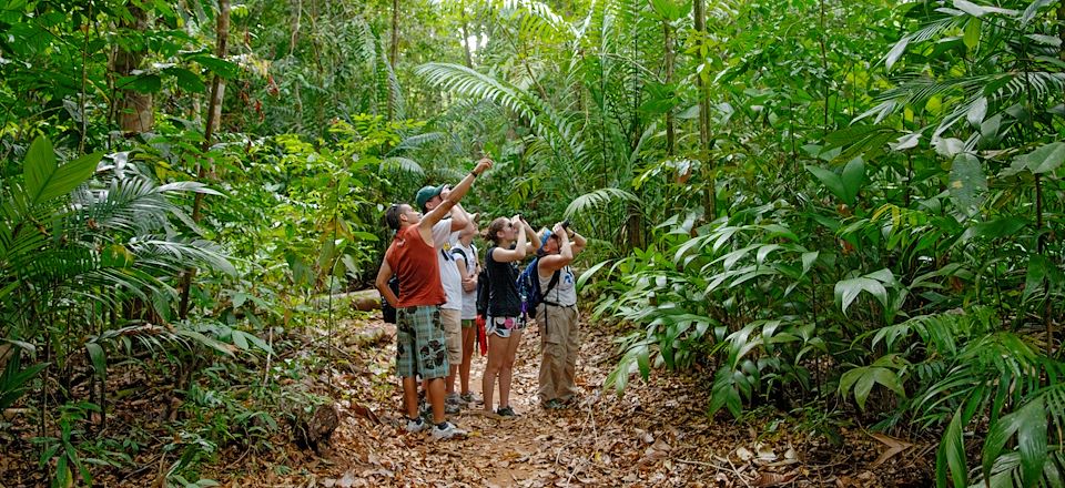 Autotour en famille au Costa Rica: du volcan Arenal au parc du Corcovado via Manuel Antonio entre faune & flore exceptionnelles!