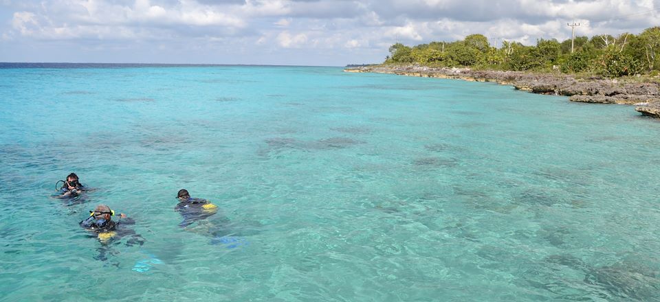 Voyage plongée à Cuba : découverte des fonds marins de l'île, de la Baie des Cochons à Playa Girón et Maria la Gorda
