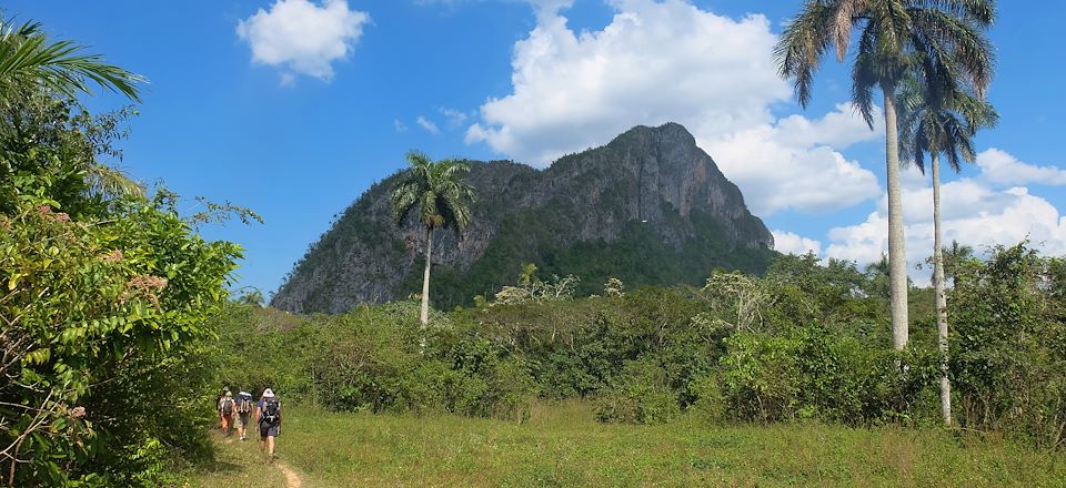 Randonnées, salsa, musique, concert, baignades dans les cascades et les Caraibes, découvertes cuturelles et immersion à Cuba