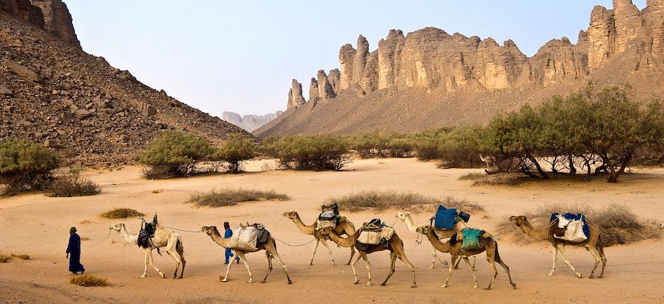Trek et bivouac au cœur du Sahara, une aventure inoubliable entre dunes, roches sculptées avec nuits en bivouac sous les étoiles.
