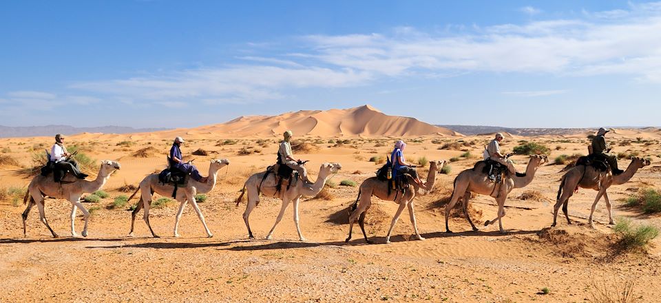 Randonnée chamelière hors des sentiers battus dans le Tassili de l'Immidir : ambiance caravanière et rencontre avec les Touaregs