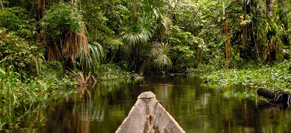 Immersion vivifiante et exigeante dans un biotope exceptionnel : la réserve de Yasuní avec l'aventurier Damien Lecouvey