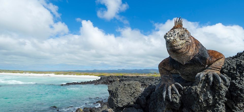 Un seul voyage pour vivre les Andes authentiques, la mystérieuse Amazonie et les mythiques îles Galápagos… Inoubliable !