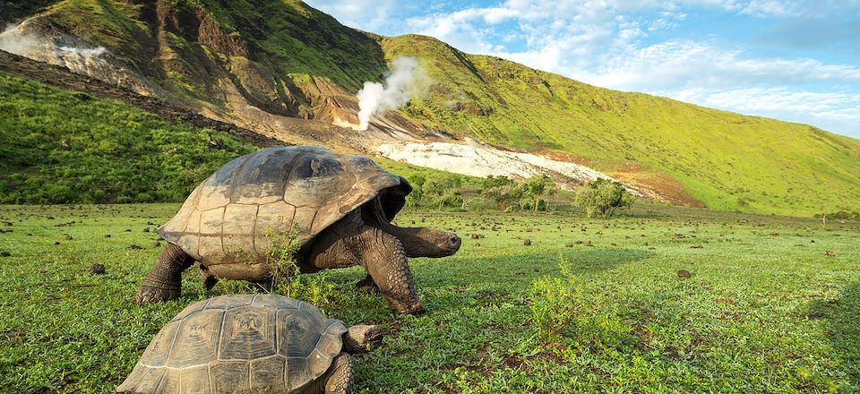 Sur les traces de Darwin, voyage entièrement dédié à la magie du plus fameux des sanctuaires naturels: l’archipel des Galápagos