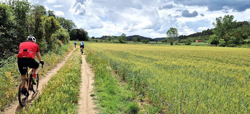 Partez en voyage sur votre gravel sur les routes de la Catalogne pour y découvrir la gastronomie, les paysages et vignobles