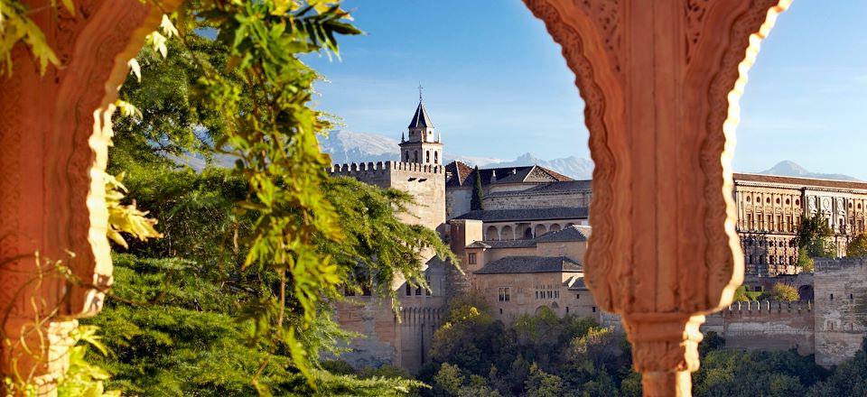 Tour complet de l'Andalousie en sept jours à bord d'un minibus : de Malaga à Grenade en passant par Séville et Cordoue. 