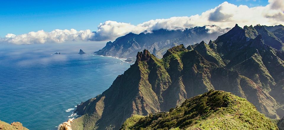 Randonnée à Tenerife à travers les massifs de l'Anaga et le parc national du Teide. Une semaine au soleil...