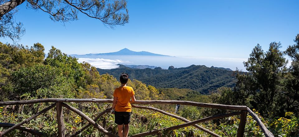 Balades faciles et découvertes volcaniques sur deux îles complémentaires, de canyons en forêts primaires 