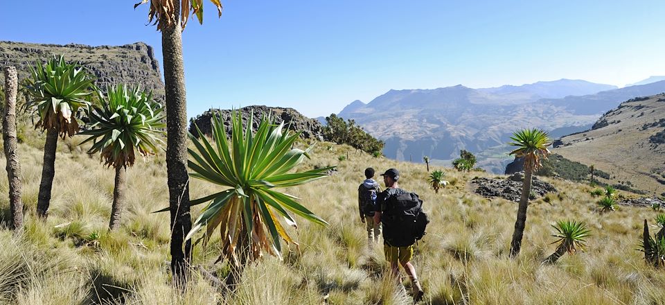 Trek de 5.5j dans le Tigré + 7.5j dans le Simien et découverte de Lalibela, Axoum et Gondar!