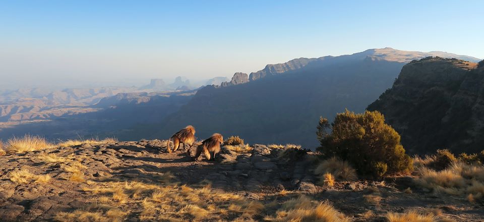 Trek dans le massif du Simien, Lalibela, Gondar et Lacs de la vallée du rift