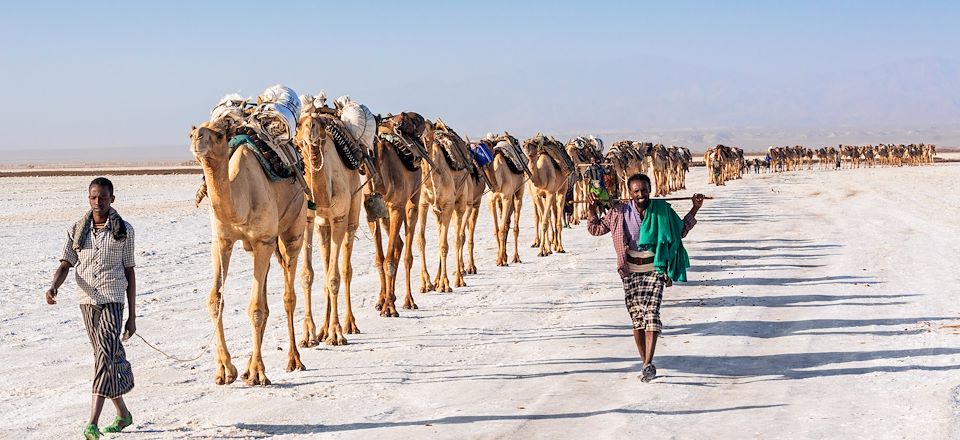 Cette aventure vous mènera de la dépression du Danakil avec Erta Ale à Lalibela sans oublier Axum, Gondar et le lac Tana