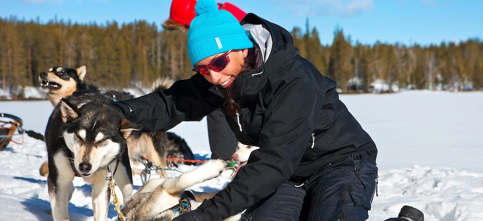 Safari arctique au parc national de Hossa. Au programme : cani-rando, randonnée en traineau à chiens, journée trappeur
