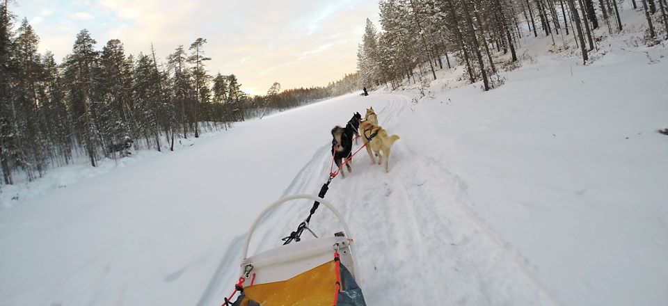 Immersion nature et découverte multiactivité au cœur de la forêt boréale finlandaise. 