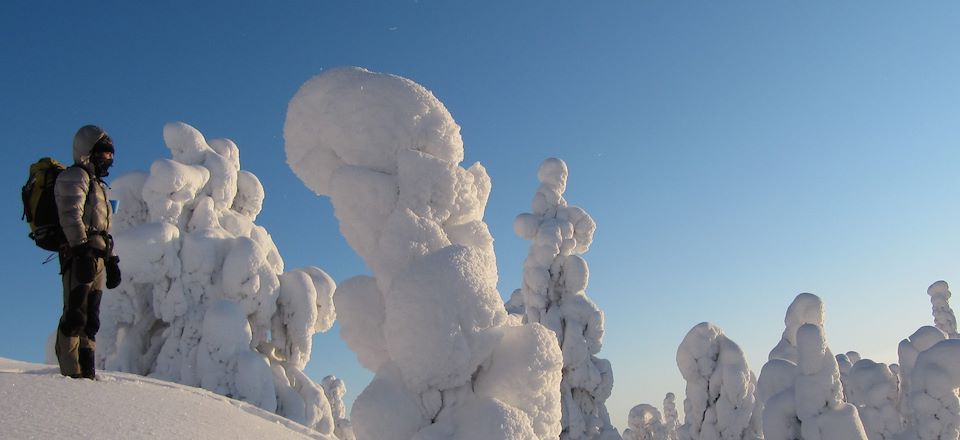 Aventure à raquette au coeur du parc naturel d’Hossa, dans l'immensité blanche de la Laponie 