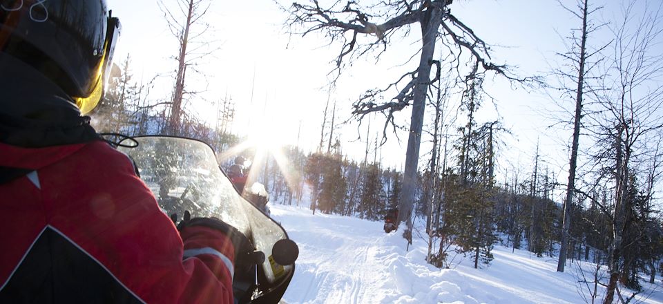Traîneau, motoneige, raquette à neige, journée trappeur et cani-rando dans le délicieux hiver lapon.