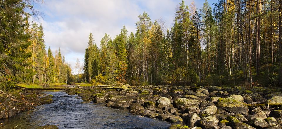 Séjour multiactivité au milieu de la foret boréale, expérience d'une authentique escapade à la nordique