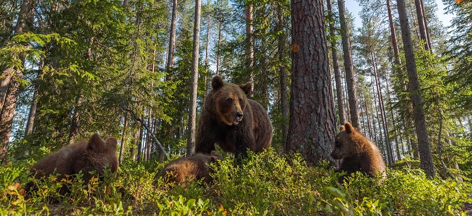 Une escapade familiale riche en activités aux limites du cercle polaire dans un décor naturel préservé 