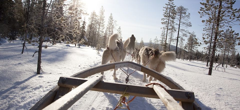 Le rêve finlandais de Taïga à Hossa