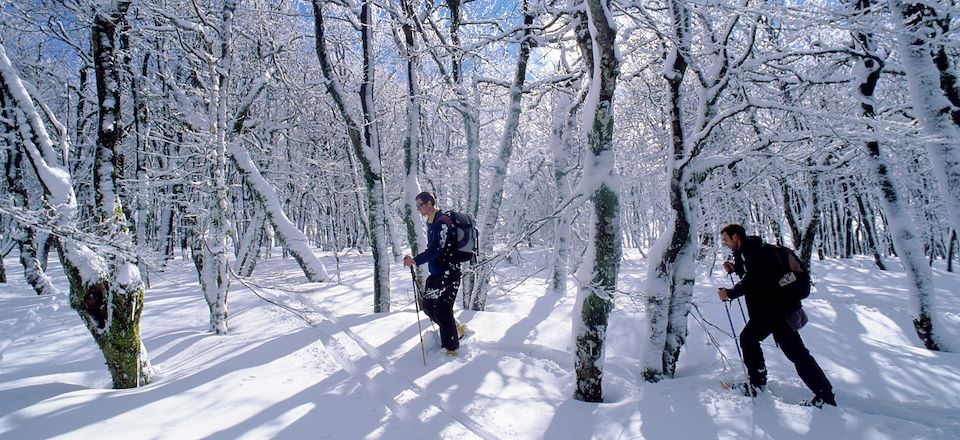 Séjour en étoile à la découverte des paysages enchanteurs des Vosges