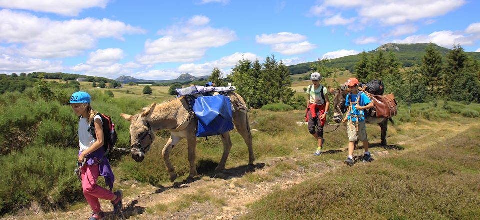 Randonnée itinérante avec des ânes entre pâturages, forêts et volcans en Ardèche et nuits en gîte, auberge et tipi