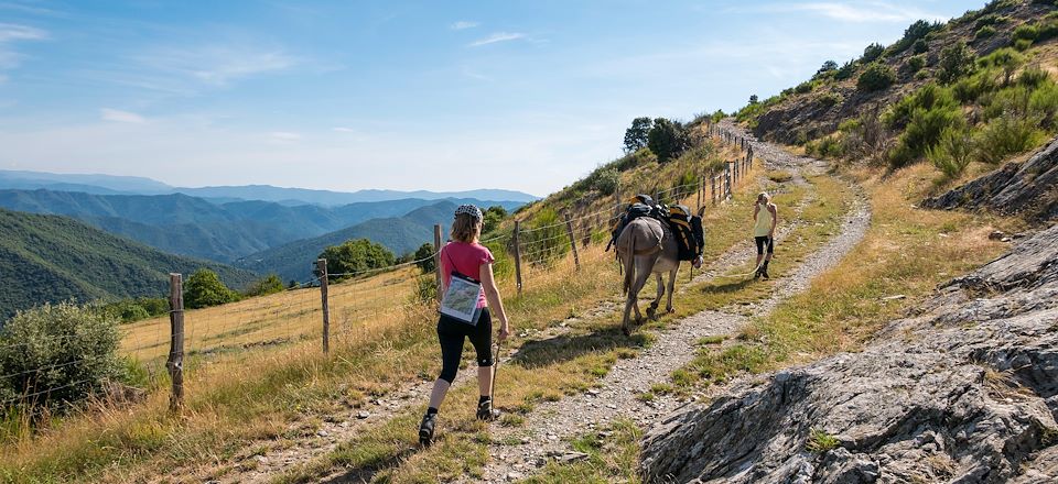 Itinérance avec des ânes de bât à la découverte des villages et châtaigneraies du massif des Cévennes 