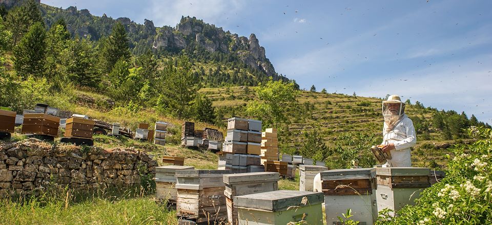 Randonnées, rencontres avec des producteurs locaux et dégustations de produits du terroir au cœur du Parc national