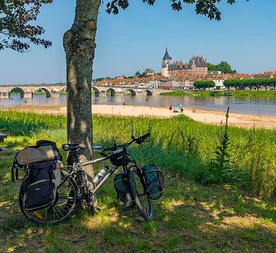 Voie verte du point zéro de La Loire à vélo jusqu'à Orléans, en passant par les vignobles sancerrois et le célèbre Bec d'Allier.
