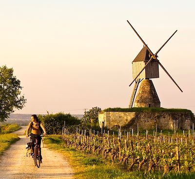 La Loire en vélo électrique de Chambord à Saumur par les incontournables châteaux et vignobles de la vallée de la Loire.