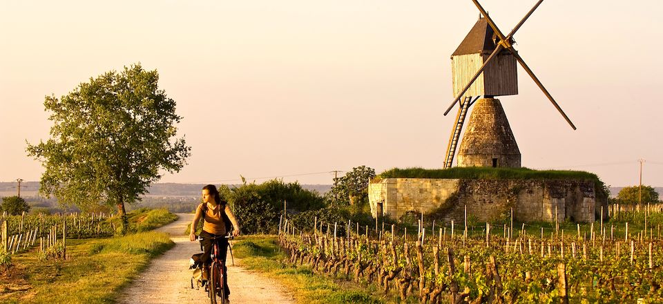 La Loire en vélo électrique de Chambord à Saumur par les incontournables châteaux et vignobles de la vallée de la Loire.