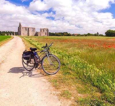 La Vélodyssée de La Rochelle à Royan : découverte de la côte Atlantique entre océan et marais, avec les îles de Ré et d'Oléron