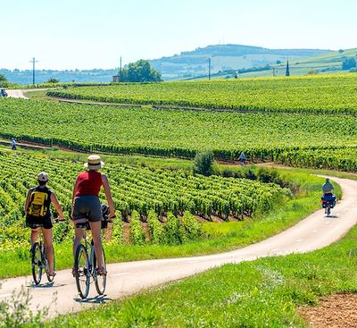 La Bourgogne à vélo, avec une jolie boucle au départ de Beaune à la découverte des villages et prestigieux vignobles de la région.