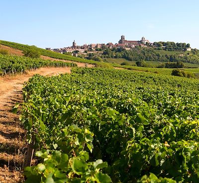 Le tour de Bourgogne à vélo, une balade viticole au départ de Beaune jusqu'au Parc Naturel du Morvan en passant par le pays Auxois