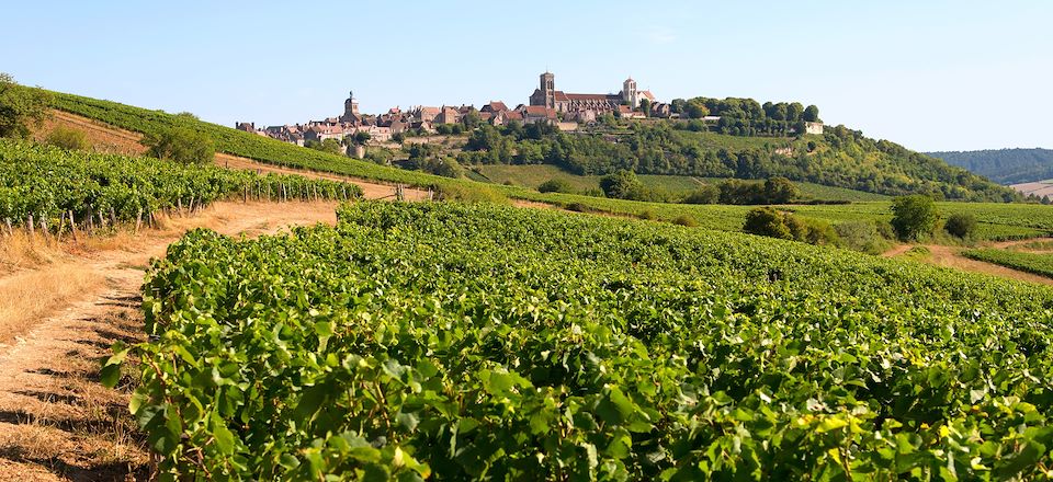 Le tour de Bourgogne à vélo, une balade viticole au départ de Beaune jusqu'au Parc Naturel du Morvan en passant par le pays Auxois