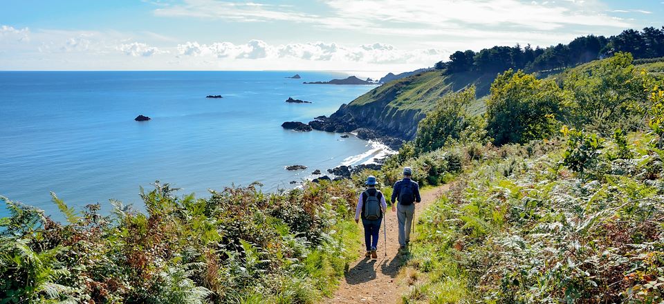 Randonnée côtière en Bretagne : De Binic à Bréhat, un voyage entre l'île de Bréhat et Falaises de Plouha
