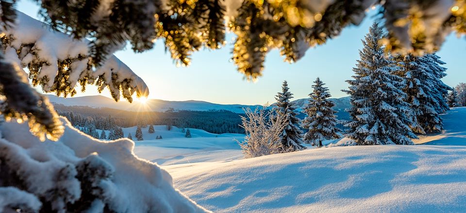 Séjour hivernal à la découverte du massif du Jura avec des activités dédiées aux personnes en situation de handicap