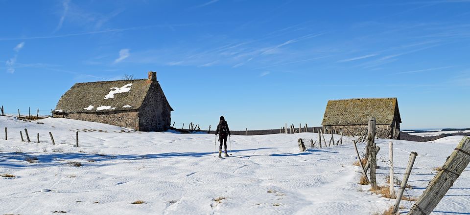 Sur les chemins de transhumance, entre grands espaces et burons d'antan