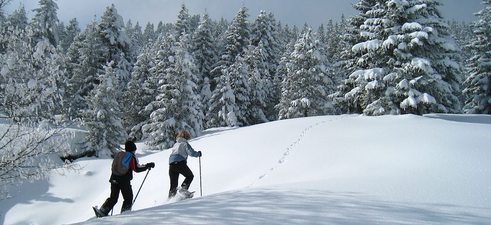 Randonnée à raquette sur les crêtes du Jura, dans le parc naturel vaudois, avec nuit en refuge