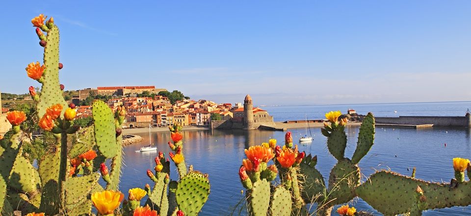 Randonnées itinérantes sur les sentiers du littoral, entre Pyrénées et pays catalan, patrimoine et découvertes locales !