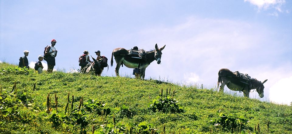 Une itinérance au plus près du Mont-Blanc, pour petits et grands, de refuge en refuge accompagné par des ânes...