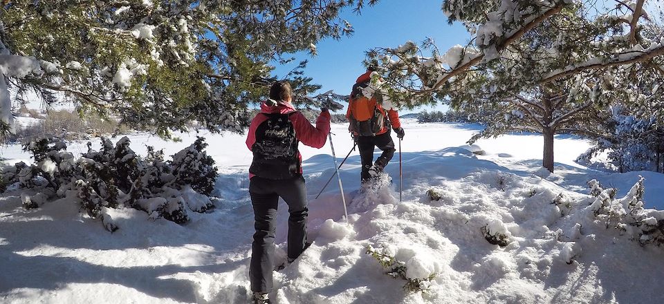 Séjour en étoile alliant détente et balades à raquette sur le plus grand plateau pyrénéen : la Cerdagne.